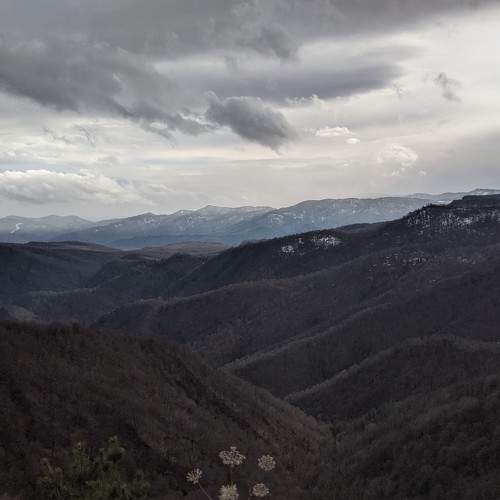 Photo #5812790