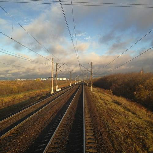 Photo #5812991