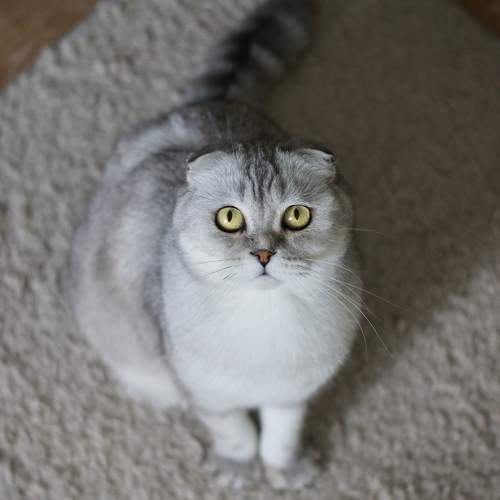 Photo #5813175