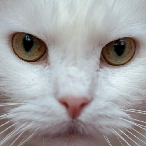 Photo #5813451