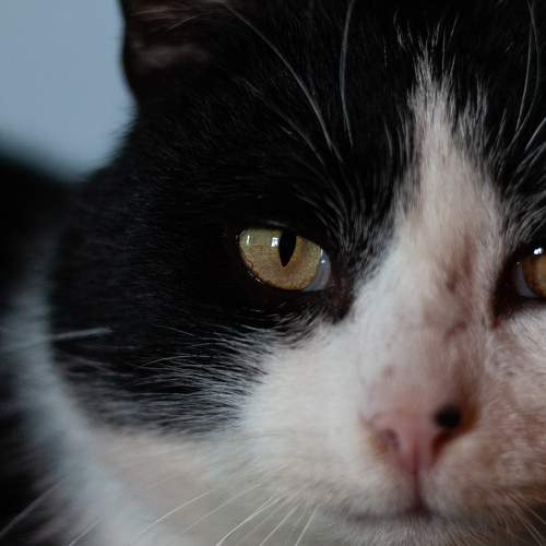 Photo #5813489