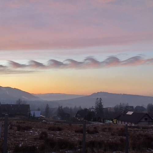 Photo #5813509