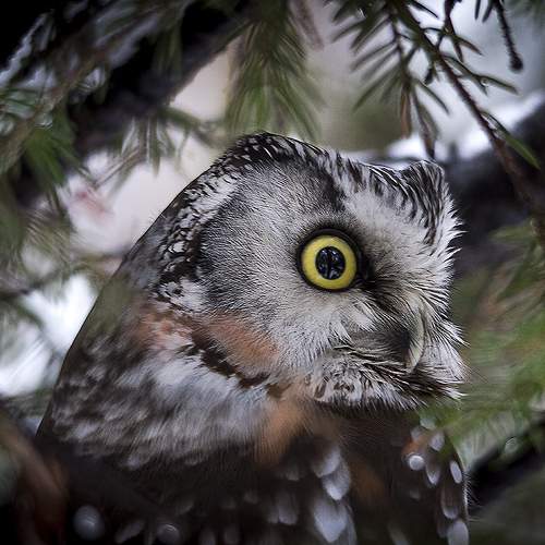 Photo #5813527