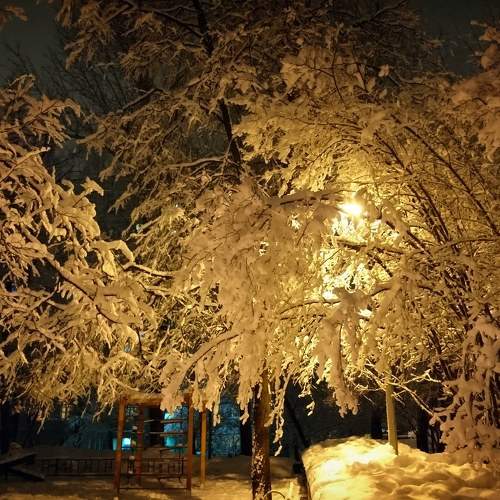 Photo #5813529