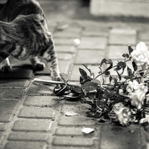 Photo #5813614