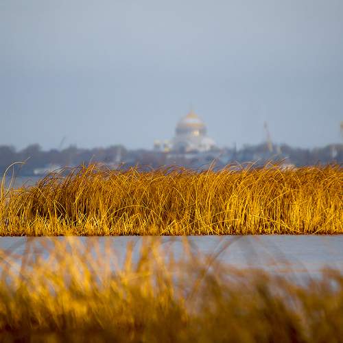 Photo #5813679