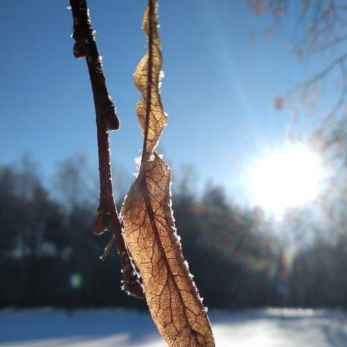 Photo #5813728