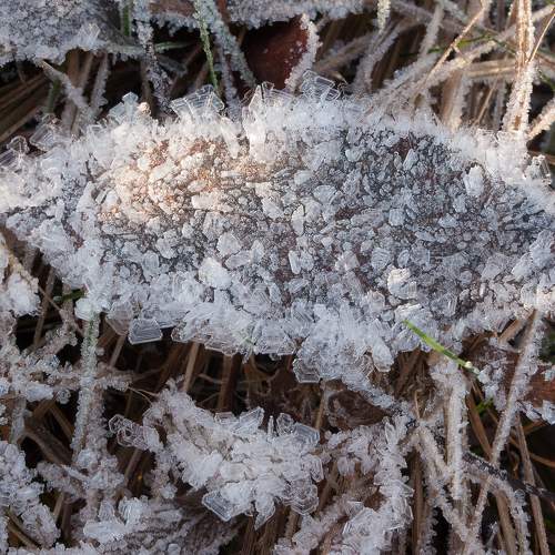 Photo #5813737