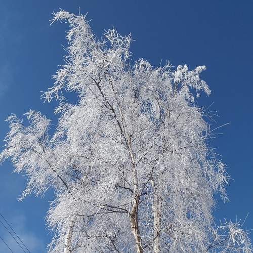 Photo #5813778
