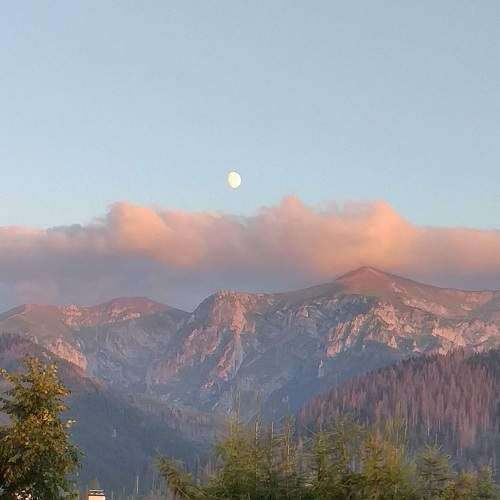 Photo #5813799