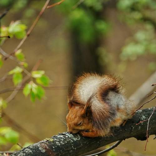 Photo #5813959