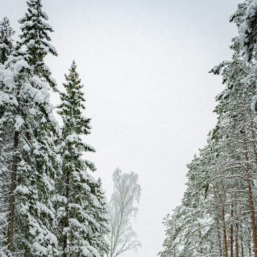 Photo #5814107