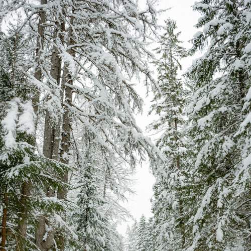 Photo #5814108