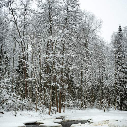 Photo #5814109