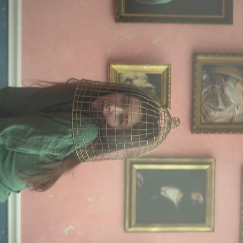 Photo #5814170