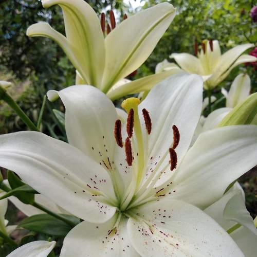 Photo #5814219