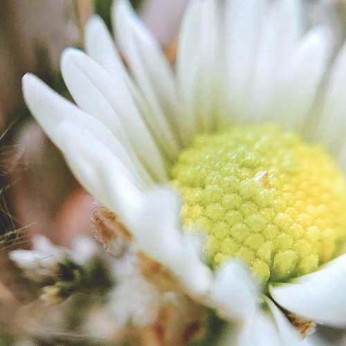 Photo #5814702