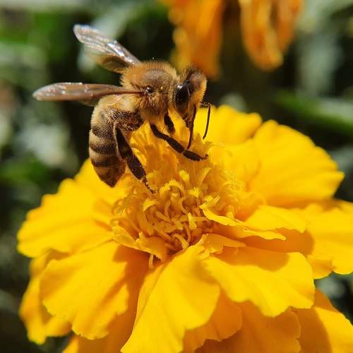 Photo #5814834
