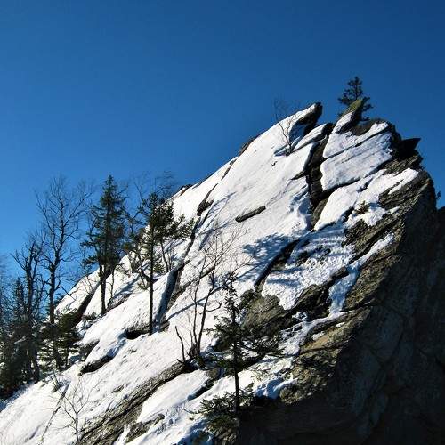 Photo #5815283