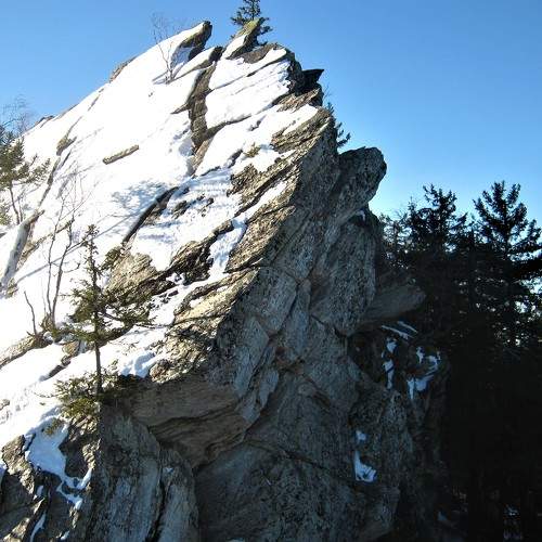 Photo #5815284