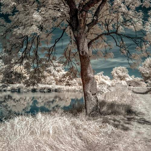 strange winter
