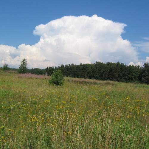 Photo #5815361