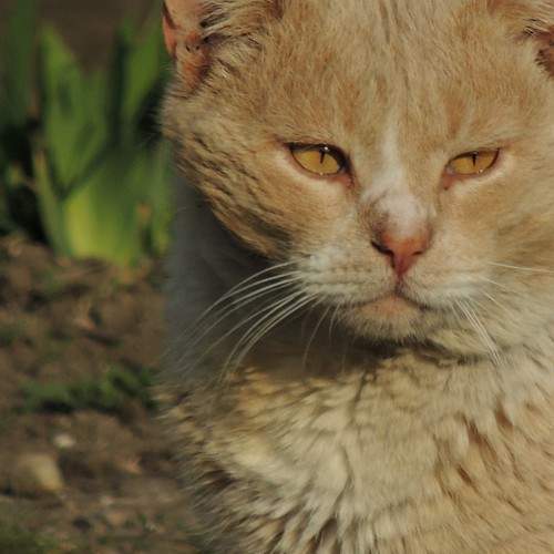 Photo #5815445
