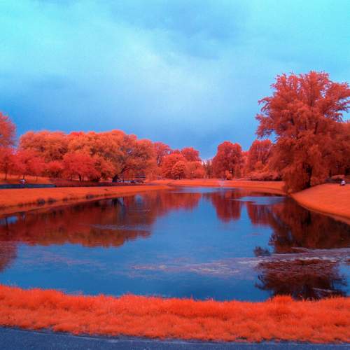 red garden