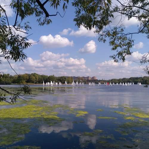 Photo #5815630