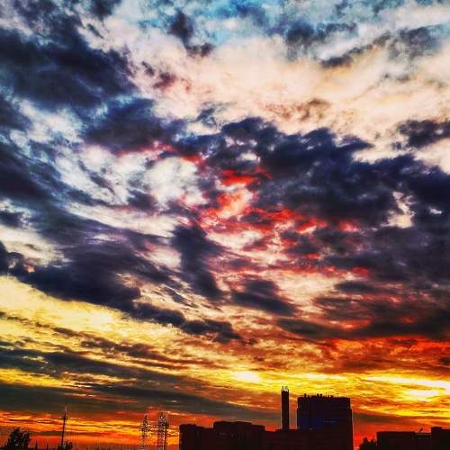 Photo #5815652