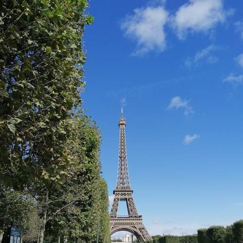 Photo #5816012
