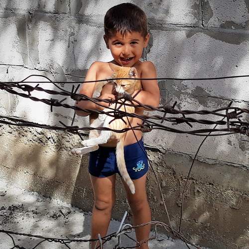 Photo #5816030