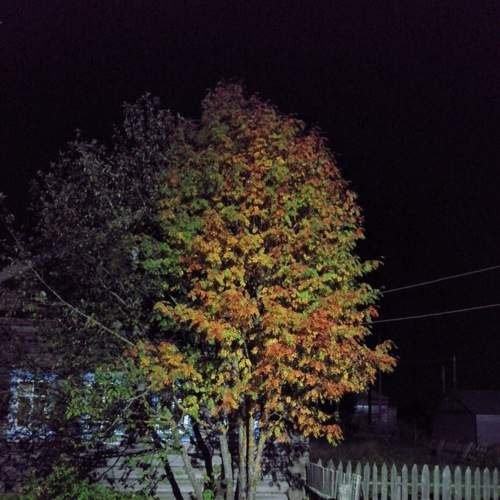 Photo #5816073