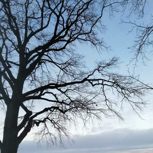 Photo #5816137