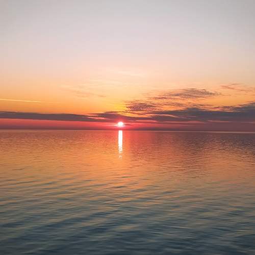 Photo #5816296