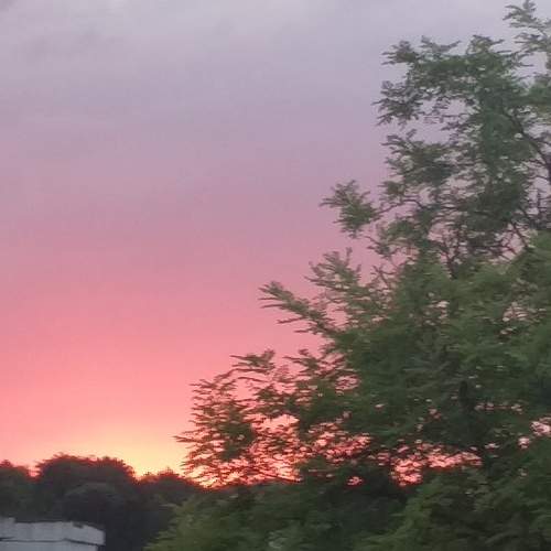Photo #5816390