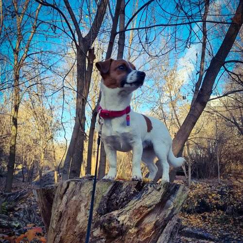 Photo #5816418