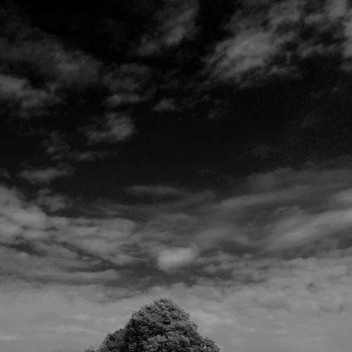 Photo #5816462