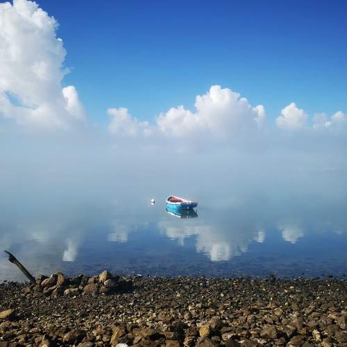 Photo #5816491