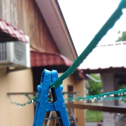 Photo #5816839