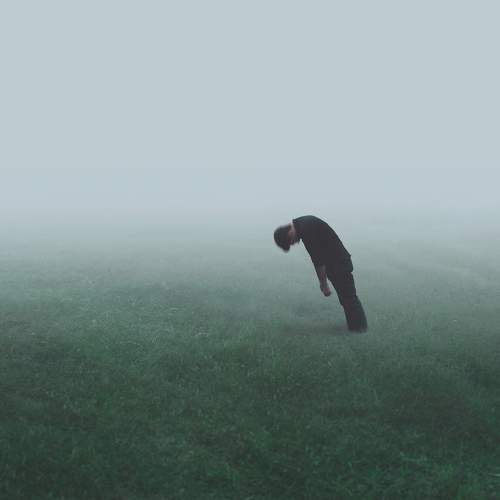 Photo #5817066