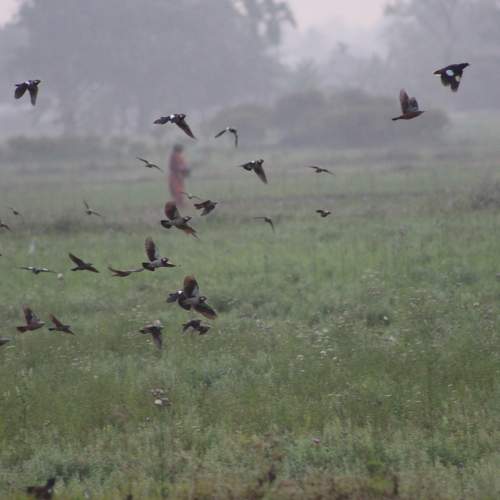 Photo #5817176