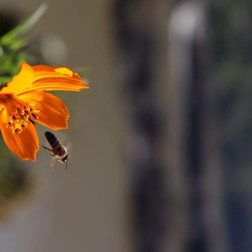Photo #5817298