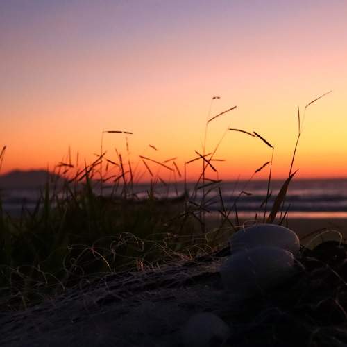 Photo #5817535
