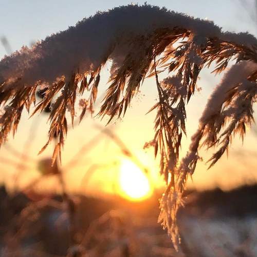 Photo #5817693