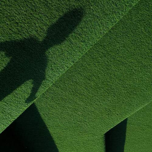 Photo #5817695