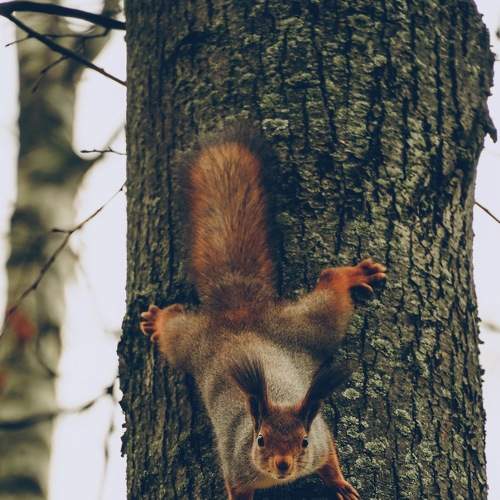 Photo #5817816