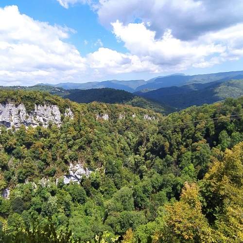 Photo #5817827