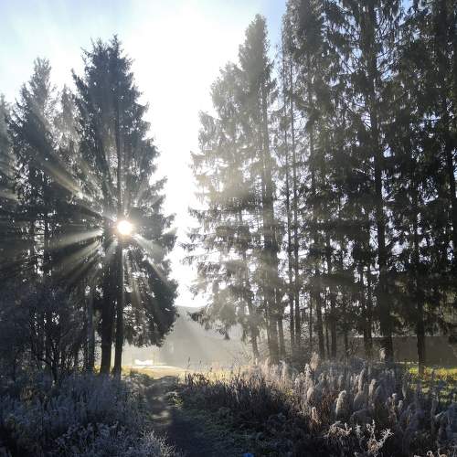 Photo #5818125