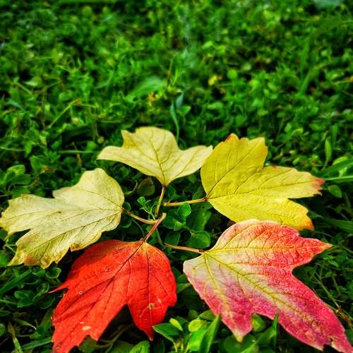 Photo #5818187